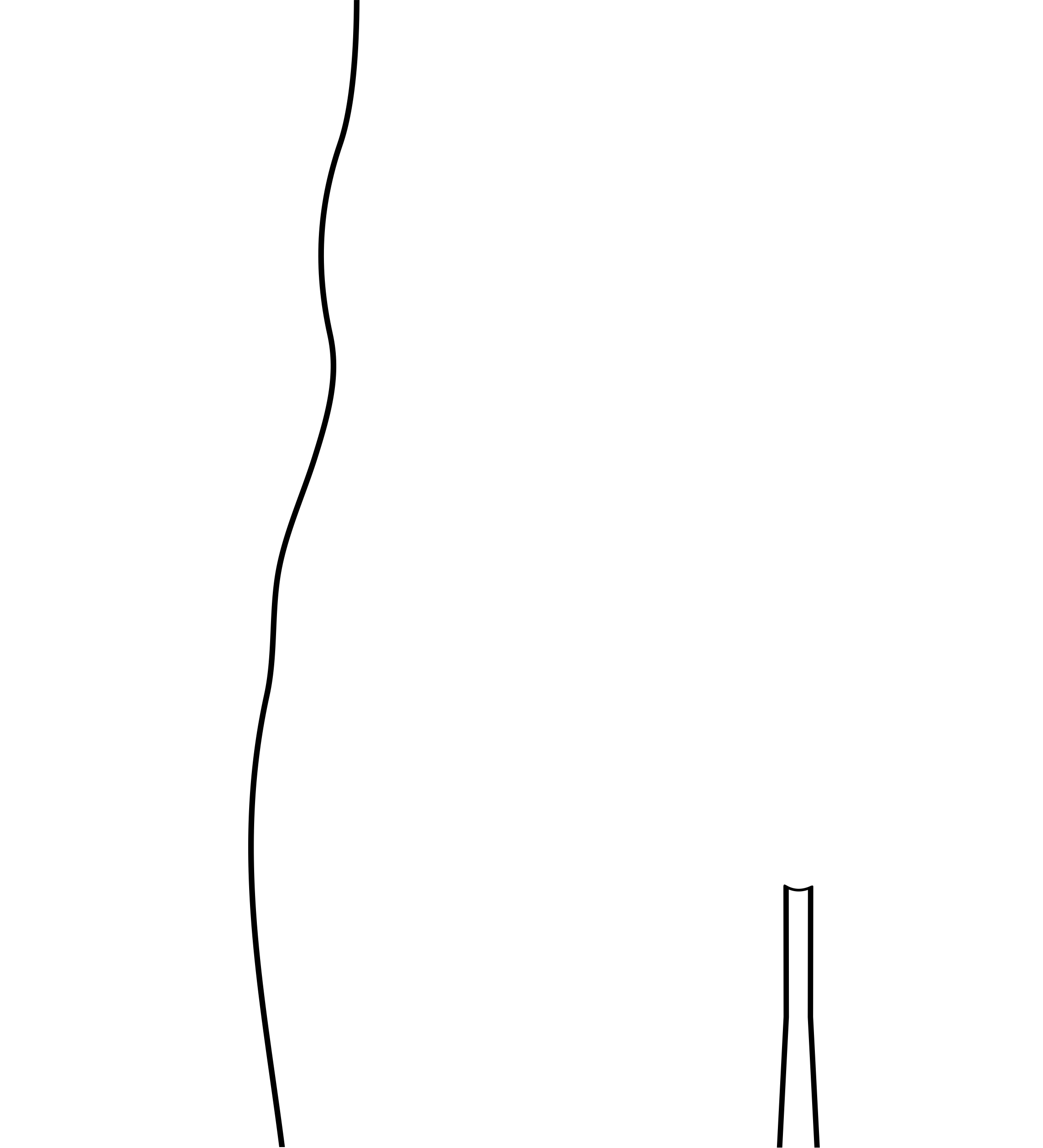Body Outline